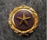 This is a Gold Star Lapel Pin